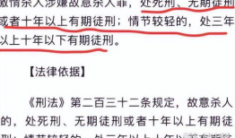 女用户吃瓜爆料视频下载,吃瓜爆料视频背后的惊人真相